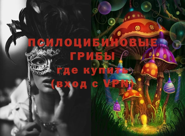 стафф Богородск