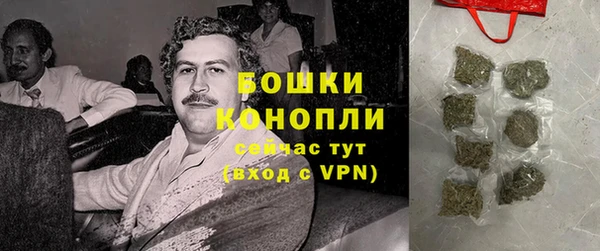 сатива Богородицк